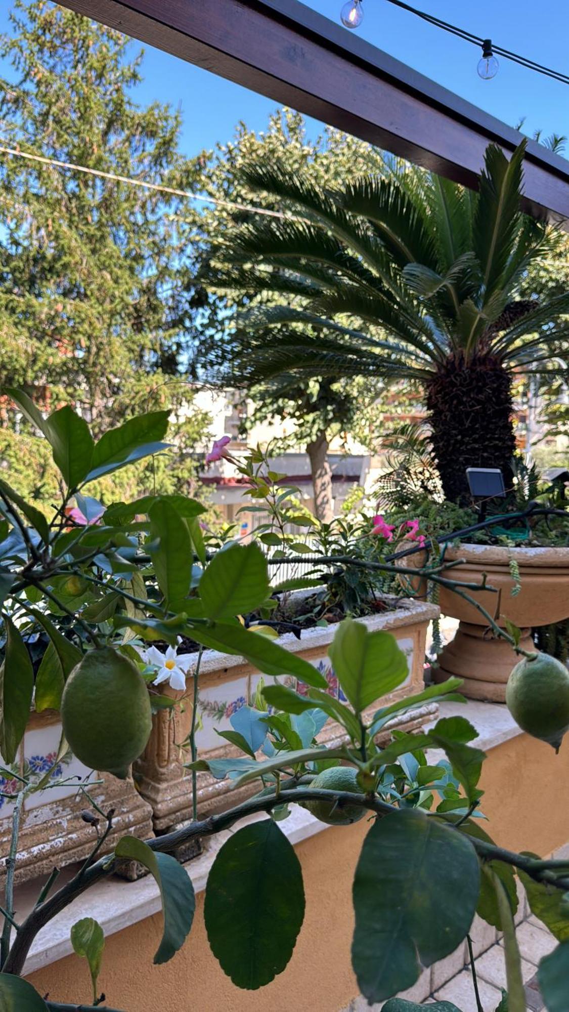 Relais Sorrento Terrace And Relax Bed & Breakfast Екстериор снимка